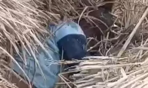 मासूम की लाश धान के ढेर में मिली, बेरहमी से कत्ल