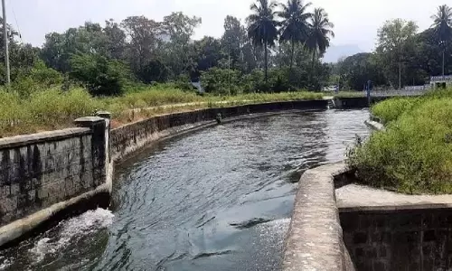 Tamil Nadu: पीएपी निगरानी समितियों में किसानों को शामिल करें Tamil Nadu: पीएपी निगरानी समितियों में किसानों को शामिल करें