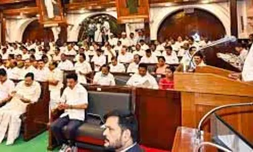 विधानसभा में केवल 234 सदस्यों को अपने विचार व्यक्त करने का अधिकार: Speaker