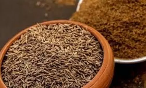 health :इन लोगों को भूलकर भी नहीं करना चाहिए इस मसाले का सेवन health :इन लोगों को भूलकर भी नहीं करना चाहिए इस मसाले का सेवन