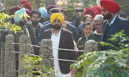 पंजाब के CM ने छतबीर चिड़ियाघर में दो महीने के बाघ शावकों का नाम अभय और आर्यन रखा