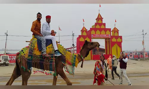 Maha Kumbh 2025: प्रयागराज के संगम पर राजस्थान से आने वाले ऊँटों की सवारी एक लोकप्रिय आकर्षण बन गई