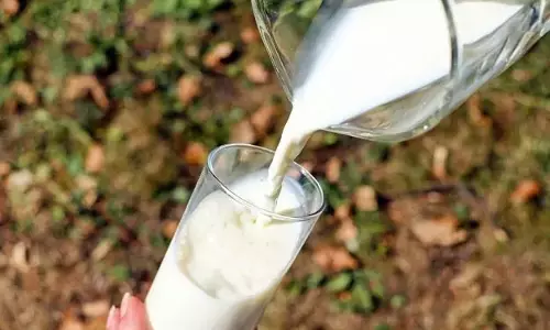 कच्चा दूध: एलर्जी और सर्दी के लिए एक प्राकृतिक उपचार