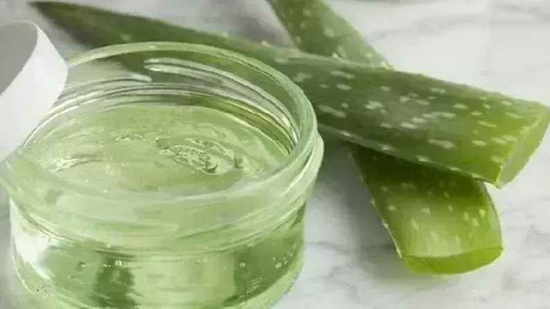 Lifestyle: एलोवेरा का इस्तेमाल कर फटी एड़ियों का ऐसे करे इलाज
