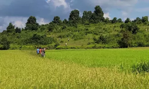 Meghalaya : सीमावर्ती भूमि स्वामित्व को लेकर कार्बी समुदाय से कथित तौर पर धमकियां मिल रही