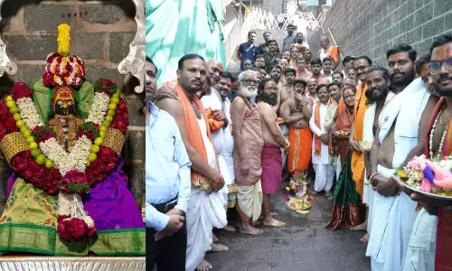 एक पवित्र वृक्ष की स्थापना के साथ तुलजाभवानी देवी का शाकंभरी नवरात्रि उत्सव