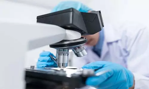 Herpes Virus का अल्जाइमर से संबंध होने की संभावना- अध्ययन