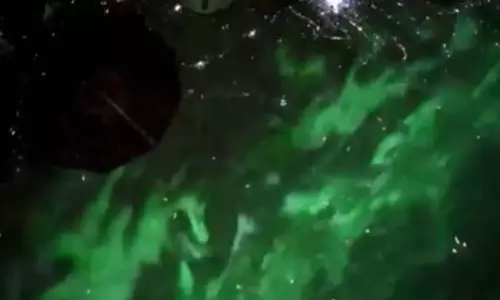 NASA के अंतरिक्ष यात्री ने अंतरिक्ष से अद्भुत हरे रंग के ऑरोरा की तस्वीरें खींचीं, VIDEO...