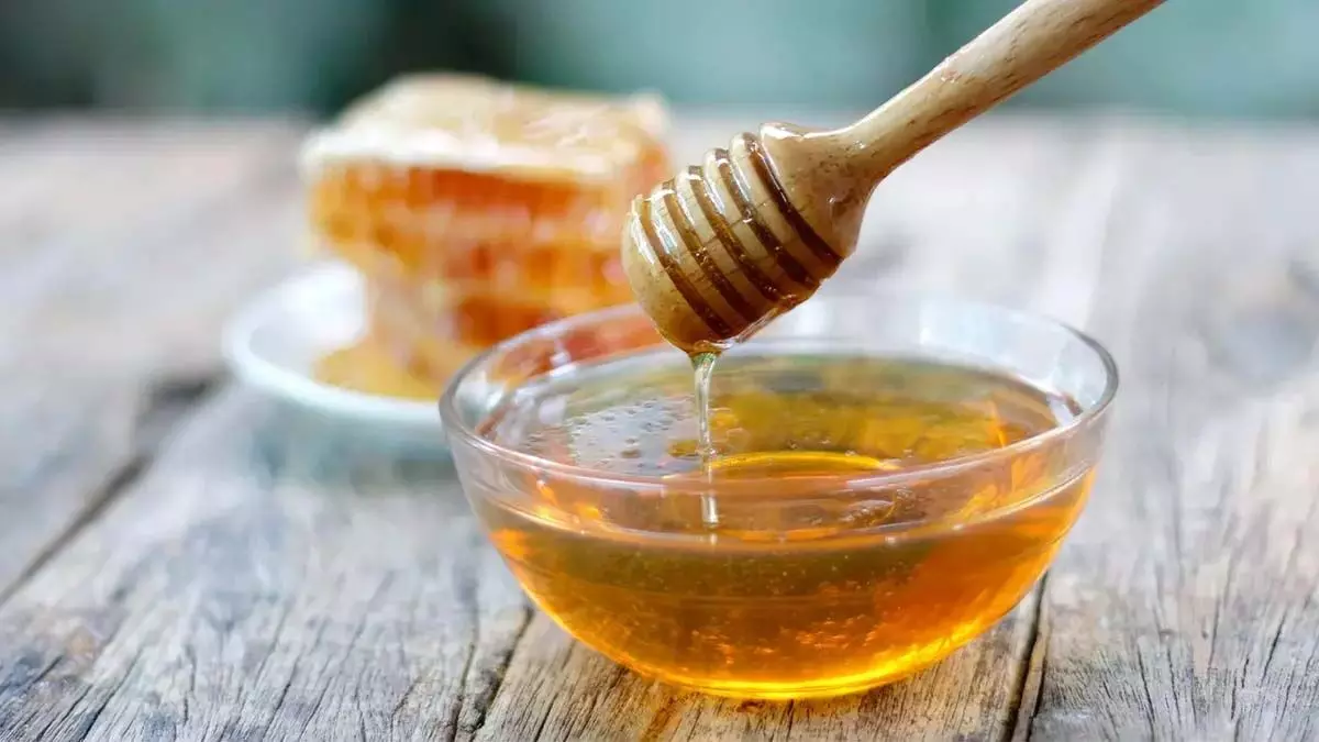 Honey Face Packs: सर्दियों में चेहरे पर लगाएं शहद से बने  फेस पैक