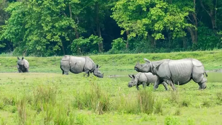 Assam शीर्ष वैश्विक गंतव्य के रूप में उभरा