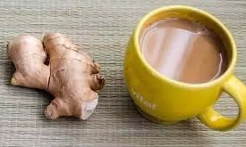 Adrak Wali Chai ke Nuksan: आप भी ठंड के मौसम में अदरक वाली चाय खूब पी रहे हैं तो पहले इसके नुकसान जान लें Adrak Wali Chai ke Nuksan: आप भी ठंड के मौसम में अदरक वाली चाय खूब पी रहे हैं तो पहले इसके नुकसान जान लें
