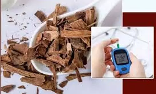 Health: शुगर के मरीजों के लिए रामबाण है इस पेड़ की छाल, औषधियों का खजाना
