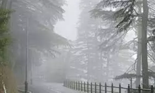 Himachal Pradesh: घने कोहरे ने बढ़ाई परेशानी, बारिश की संभावना