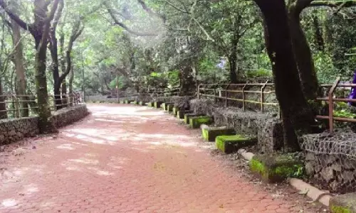 Mumbai : माथेरान में पेवर ब्लॉक से घोड़ों की जान को खतरा Mumbai : माथेरान में पेवर ब्लॉक से घोड़ों की जान को खतरा