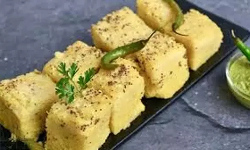 Kids Lunchbox Recipe: बच्चे के लंच बॉक्स में बनाएं स्वादिष्ट इंस्टेंट ढोकला