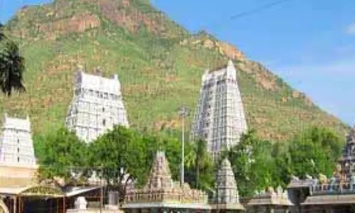 तिरुवन्नामलाई का एक दिवसीय गिरिवलम दौरा