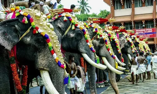 Kerala : मलप्पुरम में मंदिर में आयोजित कार्यक्रम के दौरान हाथी ने हिंसक रूप ले लिया