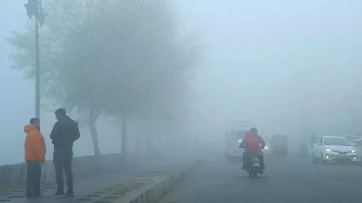 Shahdol : सर्द हवा से कड़ाके की ठंड का अहसास, छह डिग्री रहा तापमान Shahdol : सर्द हवा से कड़ाके की ठंड का अहसास, छह डिग्री रहा तापमान