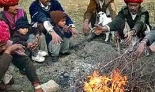 Rajasthan में शीतलहर के चलते फतेहपुर में 1.1 डिग्री तापमान दर्ज किया गया