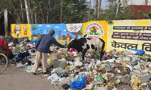 NGT के आदेशों का उल्लंघन, मॉडल टाउन में फिर से कूड़ा डंप NGT के आदेशों का उल्लंघन, मॉडल टाउन में फिर से कूड़ा डंप