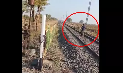 असली शेर के सामने सवा सेर बना कर्मचारी, हिम्मत देख लोगों को लगा सदमा