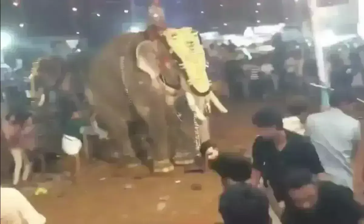 Kerala: मल्लपुरम में उत्सव के दौरान भड़का हाथी, 17 लोग घायल Video Kerala: मल्लपुरम में उत्सव के दौरान भड़का हाथी, 17 लोग घायल Video