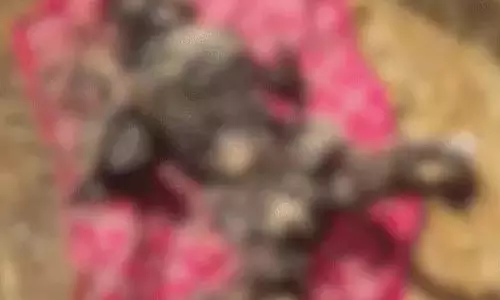 महिला की हत्या कर शव को जलाया, आरोपी पति गिरफ्तार, आखिरी बार फोन पर क्या बताया था? महिला की हत्या कर शव को जलाया, आरोपी पति गिरफ्तार, आखिरी बार फोन पर क्या बताया था?