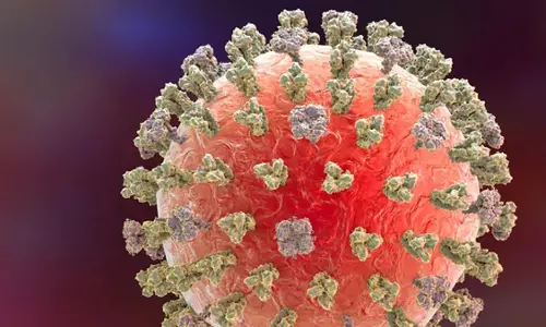 लुइसियाना में H5N1 के कारण व्यक्ति अस्पताल में भर्ती, देश में पहला गंभीर मामला