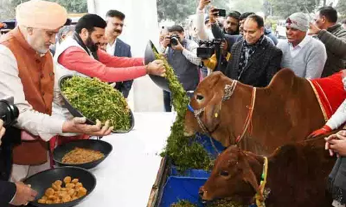 Saini ने गौशालाओं के लिए 216 करोड़ रुपये की सब्सिडी की घोषणा की