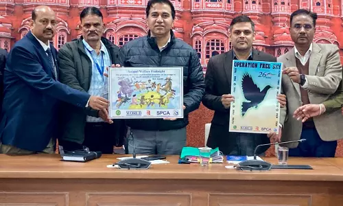 Jaipur: जिला कलेक्टर ने किया पशु कल्याण पखवाड़ा पोस्टर का विमोचन