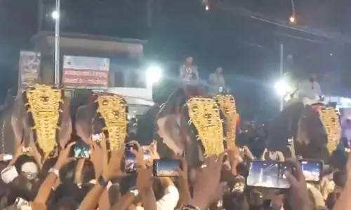 हाथी ने फेस्टिवल में एक व्यक्ति को हवा में घुमाया, 24 लोग घायल, VIDEO...