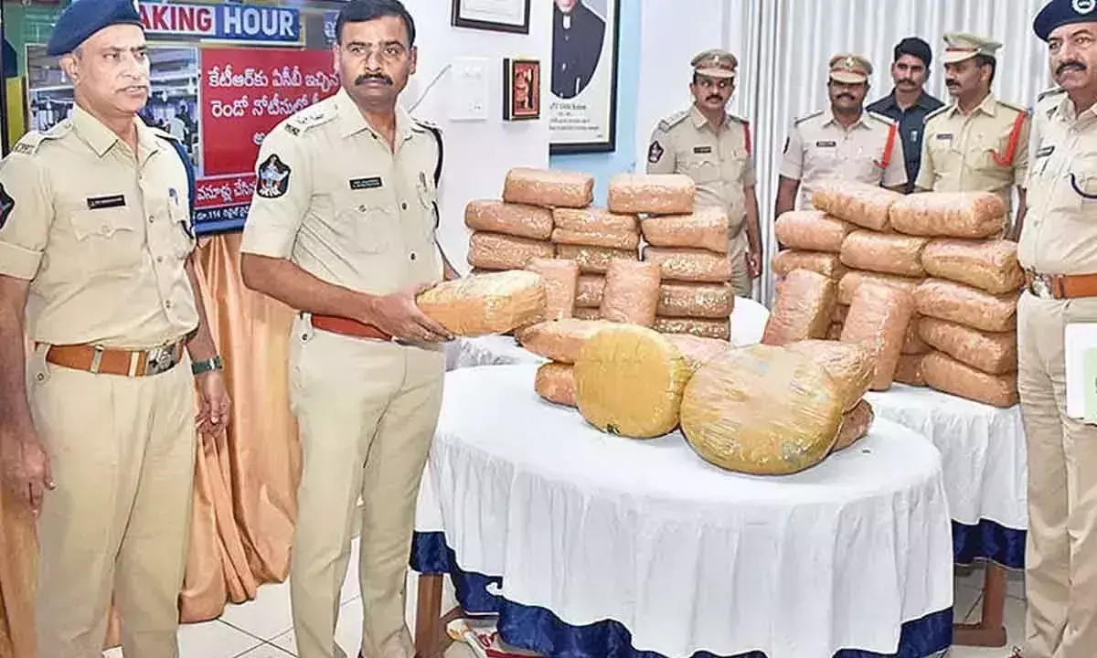 Tirupati पुलिस ने 25 लाख रुपये मूल्य का 100 किलोग्राम गांजा जब्त किया