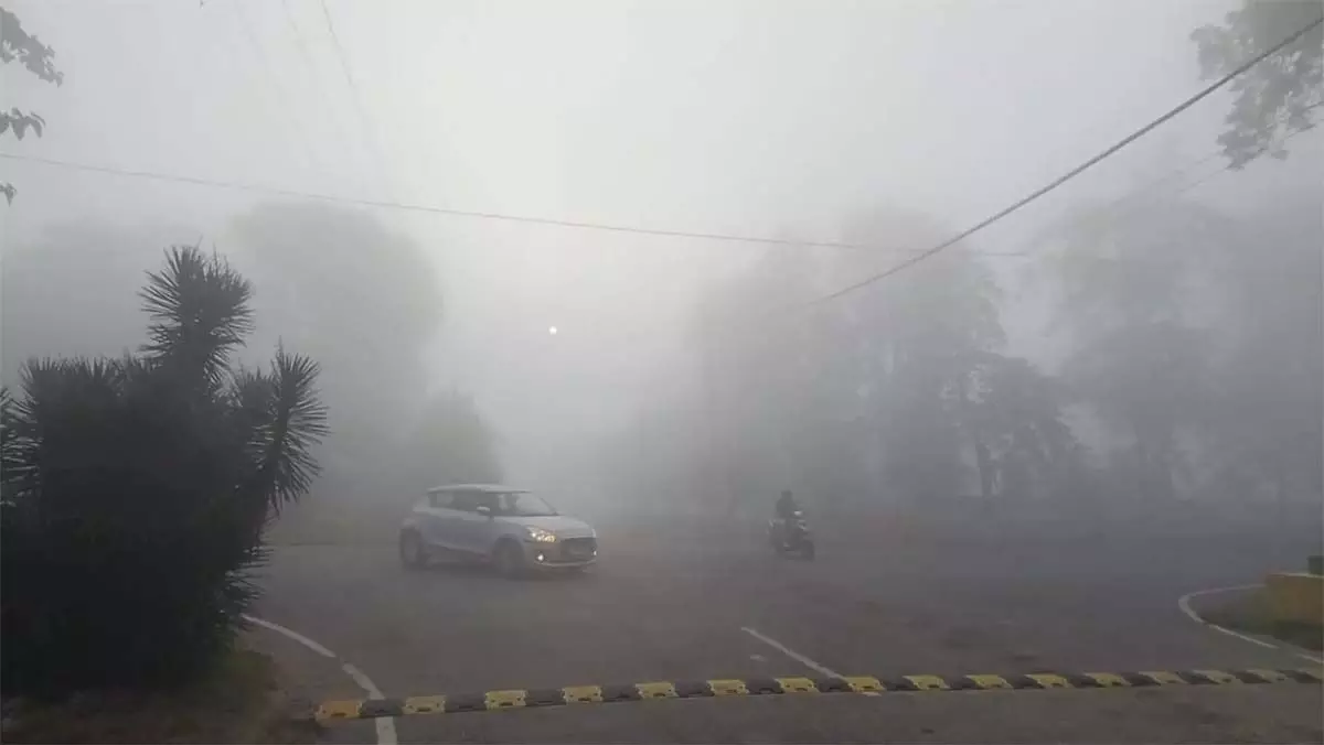 Weather:  कश्मीर  में  रात में शीत लहर का प्रकोप