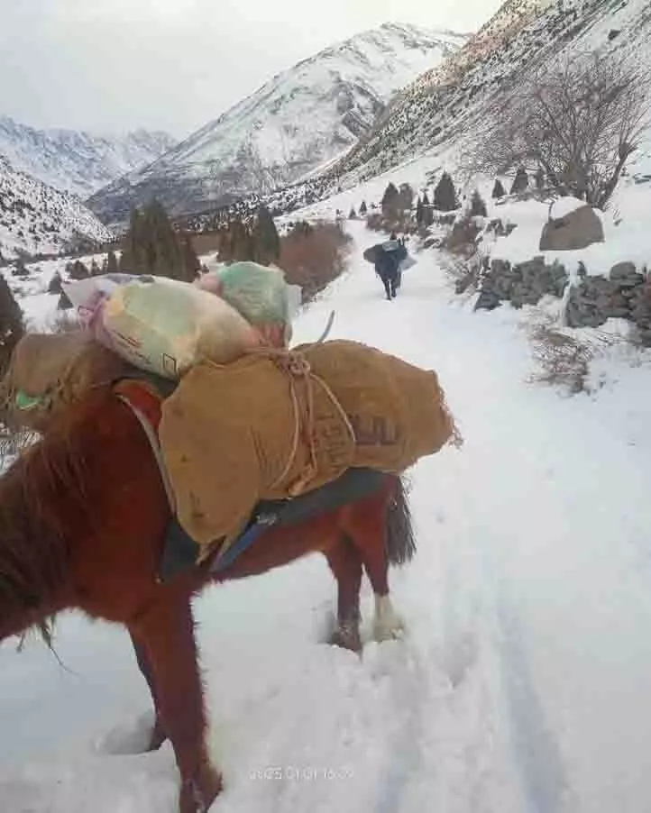 एक सप्ताह से अधिक समय के बाद Lahaul village से सम्पर्क बहाल हुआ