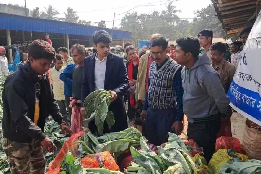 Bengal सरकार ने बड़े आकार की फूलगोभी की खरीद शुरू की