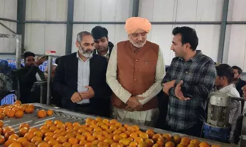 Haryana के किसान सरकारी योजनाओं के तहत समृद्ध हो रहे हैं