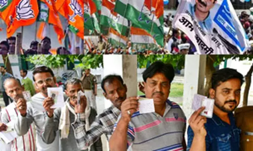 दिल्ली विधानसभा चुनाव : नरेला सीट पर दिलचस्प चुनावी लड़ाई के आसार, मुद्दों की भरमार