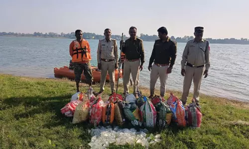 महानदी के बीच में बने टापू से भारी मात्रा में शराब जब्त