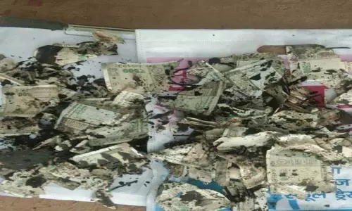हॉस्टल में आग लगने से हुआ बड़ा खुलासा.. छात्र के कमरे में ₹12 लाख के जले हुए नोट