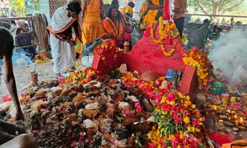 सुलिया जात्रा में पशुओं की सामूहिक बलि दी