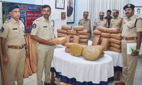 Tirupati पुलिस ने 25.5 लाख रुपये का गांजा जब्त किया