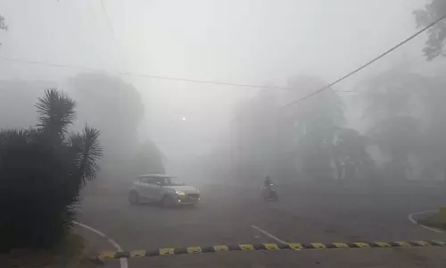 Weather:  कश्मीर  में  रात में शीत लहर का प्रकोप