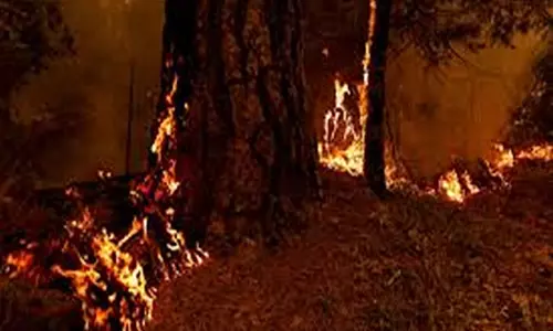 लॉस एंजिल्स में लगी आग के कारण ग्रेज़ एनाटॉमी, Hacks का निर्माण रुका