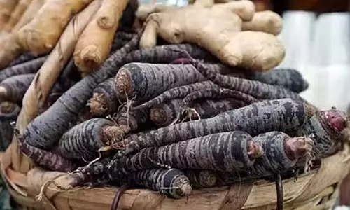 काली गाजर के 4 स्वास्थ्य लाभ जो आपको जानने चाहिए