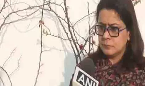 वे क्यों घबरा गए: AAP की प्रियंका कक्कड़ ने सीएम आवास के दावों पर भाजपा की आलोचना की