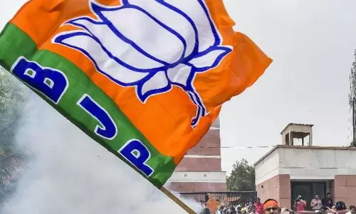 दिल्ली विधानसभा चुनाव: भाजपा 300 यूनिट फ्री बिजली, लाडली बहना योजना समेत कर सकती है कई बड़े ऐलान