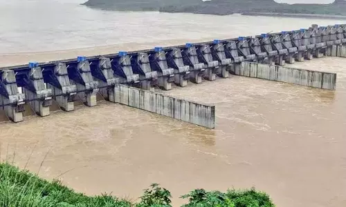CWC ने एपी की गोदावरी-बनाकचार्ला परियोजना पर विवरण मांगा