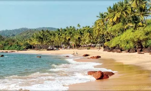 तटीय क्षेत्र प्रबंधन योजना को अंतिम रूप देने में पांच साल की देरी के लिए Goa की आलोचना