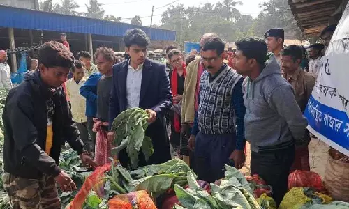Bengal सरकार ने बड़े आकार की फूलगोभी की खरीद शुरू की