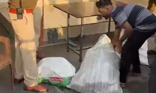 गांजा सप्लाई हो रही थी हाउसिंग बोर्ड कॉलोनी से, पुलिस ने रेड मारकर किया पर्दाफाश